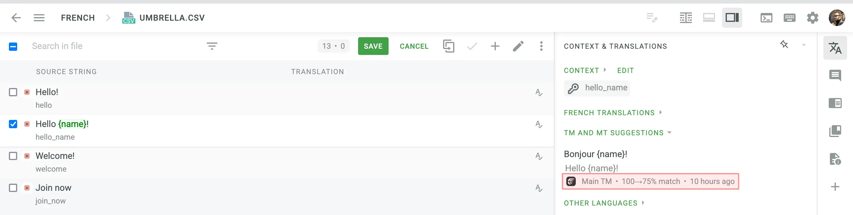 Translation Memory feature in Crowdin
